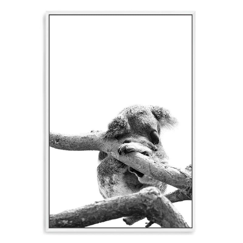 Sleeping Koala-The Paper Tree-animal,australia,australian,australian native,australiana,black,black & white,hamptons,koala,koala bear,monochrome,nature,portrait,premium art print,wall art,Wall_Art,Wall_Art_Prints