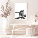 Sleeping Koala-The Paper Tree-animal,australia,australian,australian native,australiana,black,black & white,hamptons,koala,koala bear,monochrome,nature,portrait,premium art print,wall art,Wall_Art,Wall_Art_Prints