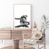 Sleeping Koala-The Paper Tree-animal,australia,australian,australian native,australiana,black,black & white,hamptons,koala,koala bear,monochrome,nature,portrait,premium art print,wall art,Wall_Art,Wall_Art_Prints