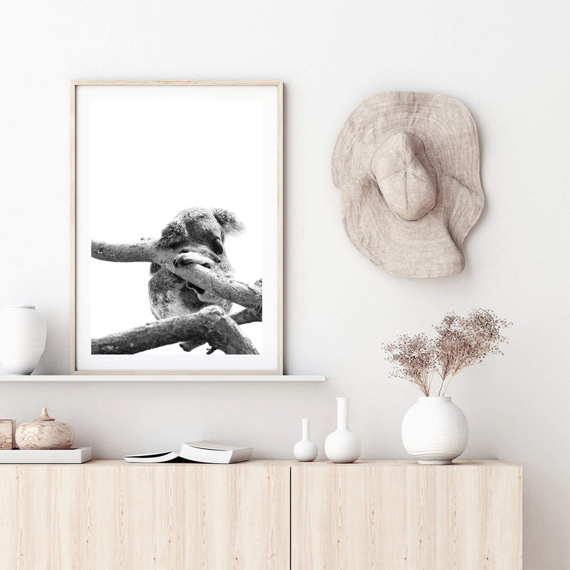 Sleeping Koala-The Paper Tree-animal,australia,australian,australian native,australiana,black,black & white,hamptons,koala,koala bear,monochrome,nature,portrait,premium art print,wall art,Wall_Art,Wall_Art_Prints