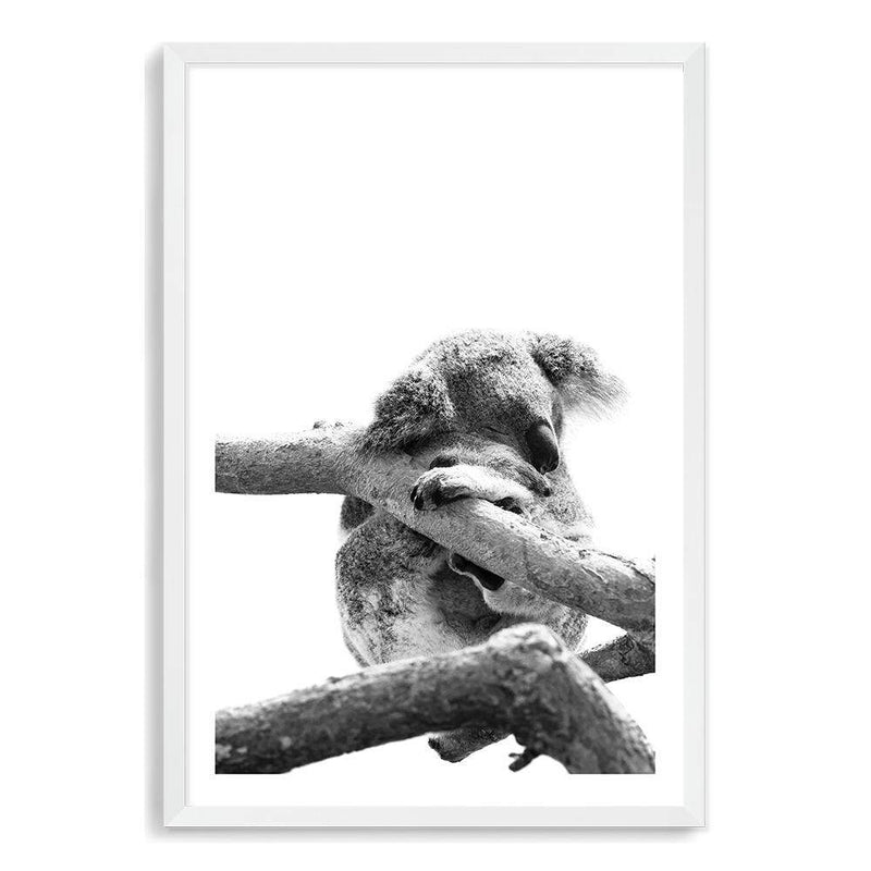 Sleeping Koala-The Paper Tree-animal,australia,australian,australian native,australiana,black,black & white,hamptons,koala,koala bear,monochrome,nature,portrait,premium art print,wall art,Wall_Art,Wall_Art_Prints