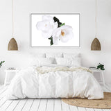 Magnolia Flowers II-The Paper Tree-botanical,floral,flower,hamptons,magnolia,magnolia flower,neutral,portrait,premium art print,wall art,Wall_Art,Wall_Art_Prints,white,white flower,white magnolia