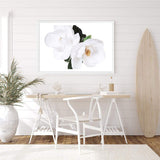 Magnolia Flowers-The Paper Tree-botanical,floral,flower,green,hamptons,landscape,magnolia,magnolia flower,neutral,premium art print,wall art,Wall_Art,Wall_Art_Prints,white,white flower,white magnolia