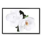 Magnolia Flowers-The Paper Tree-botanical,floral,flower,green,hamptons,landscape,magnolia,magnolia flower,neutral,premium art print,wall art,Wall_Art,Wall_Art_Prints,white,white flower,white magnolia