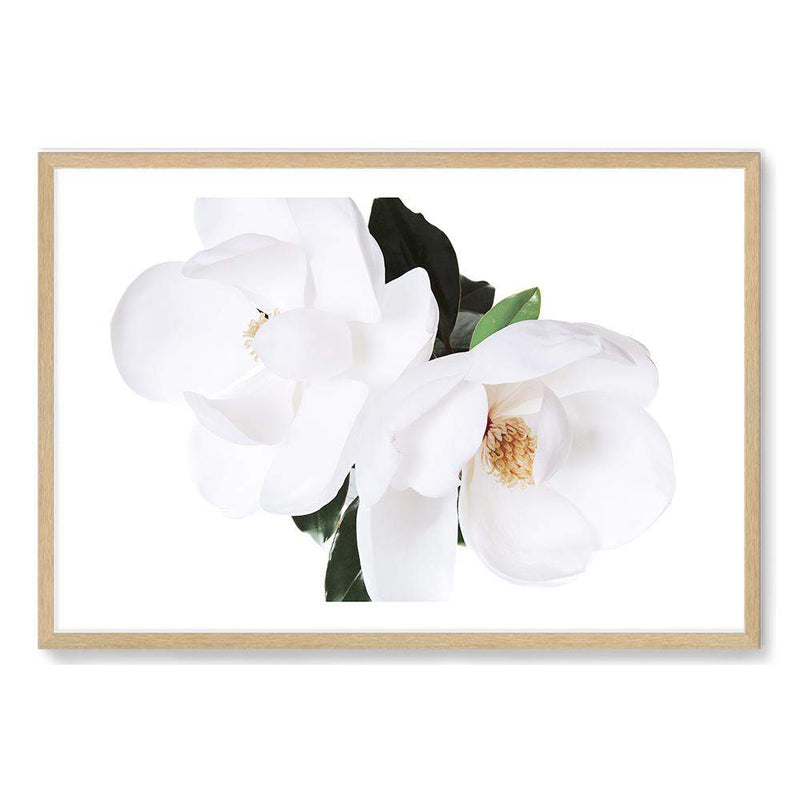 Magnolia Flowers-The Paper Tree-botanical,floral,flower,green,hamptons,landscape,magnolia,magnolia flower,neutral,premium art print,wall art,Wall_Art,Wall_Art_Prints,white,white flower,white magnolia