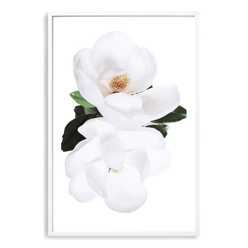 Magnolia Flowers II-The Paper Tree-botanical,floral,flower,hamptons,magnolia,magnolia flower,neutral,portrait,premium art print,wall art,Wall_Art,Wall_Art_Prints,white,white flower,white magnolia