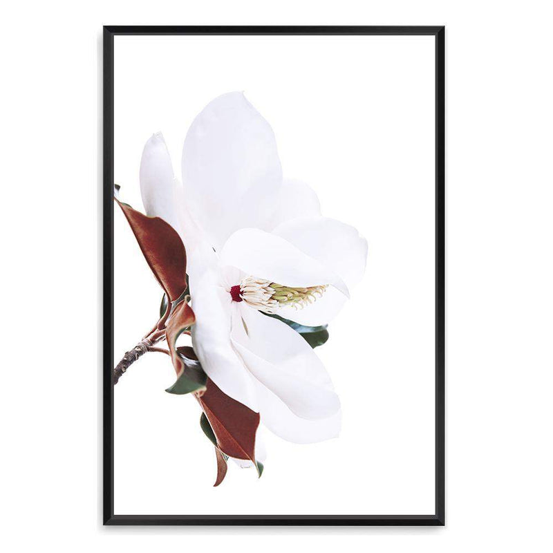 Magnolia Flowers-The Paper Tree-botanical,floral,flower,green,hamptons,landscape,magnolia,magnolia flower,neutral,premium art print,wall art,Wall_Art,Wall_Art_Prints,white,white flower,white magnolia