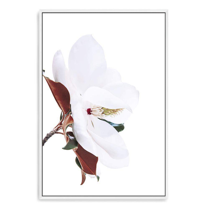 Magnolia Flowers-The Paper Tree-botanical,floral,flower,green,hamptons,landscape,magnolia,magnolia flower,neutral,premium art print,wall art,Wall_Art,Wall_Art_Prints,white,white flower,white magnolia