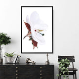 White Magnolia-The Paper Tree-botanical,floral,flower,hamptons,magnolia,magnolia flower,neutral,portrait,premium art print,tan,wall art,Wall_Art,Wall_Art_Prints,white,white flower,white magnolia