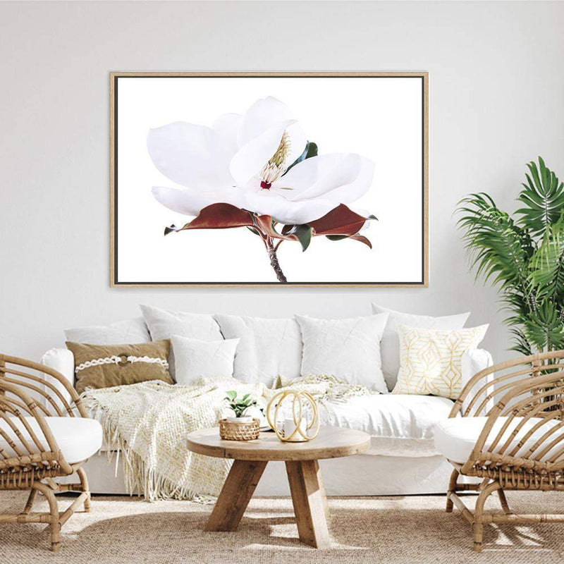 White Magnolia II-The Paper Tree-botanical,floral,flower,hamptons,landscape,magnolia,magnolia flower,neutral,premium art print,tan,wall art,Wall_Art,Wall_Art_Prints,white,white flower,white magnolia