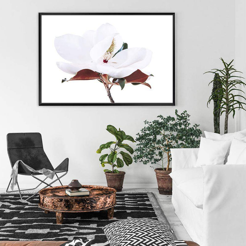 White Magnolia II-The Paper Tree-botanical,floral,flower,hamptons,landscape,magnolia,magnolia flower,neutral,premium art print,tan,wall art,Wall_Art,Wall_Art_Prints,white,white flower,white magnolia