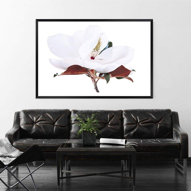 White Magnolia II-The Paper Tree-botanical,floral,flower,hamptons,landscape,magnolia,magnolia flower,neutral,premium art print,tan,wall art,Wall_Art,Wall_Art_Prints,white,white flower,white magnolia