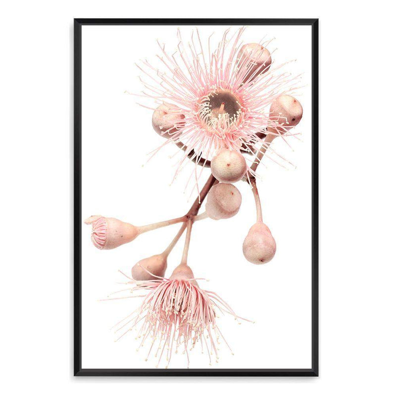 Native Gum Floral II-The Paper Tree-australia,australian,australian native,australiana,floral,flower,flowers,gum leaves,gum tree,hamptons,muted tone,native flowers,peach,pink,pink flower,Portrait,premium art print,protea,wall art,Wall_Art,Wall_Art_Prints,waratah,wild flowers