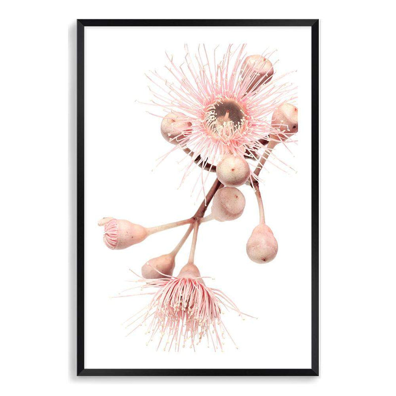 Native Gum Floral II-The Paper Tree-australia,australian,australian native,australiana,floral,flower,flowers,gum leaves,gum tree,hamptons,muted tone,native flowers,peach,pink,pink flower,Portrait,premium art print,protea,wall art,Wall_Art,Wall_Art_Prints,waratah,wild flowers