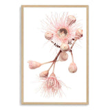 Native Gum Floral II-The Paper Tree-australia,australian,australian native,australiana,floral,flower,flowers,gum leaves,gum tree,hamptons,muted tone,native flowers,peach,pink,pink flower,Portrait,premium art print,protea,wall art,Wall_Art,Wall_Art_Prints,waratah,wild flowers