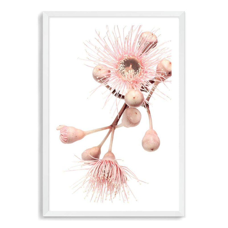 Native Gum Floral II-The Paper Tree-australia,australian,australian native,australiana,floral,flower,flowers,gum leaves,gum tree,hamptons,muted tone,native flowers,peach,pink,pink flower,Portrait,premium art print,protea,wall art,Wall_Art,Wall_Art_Prints,waratah,wild flowers