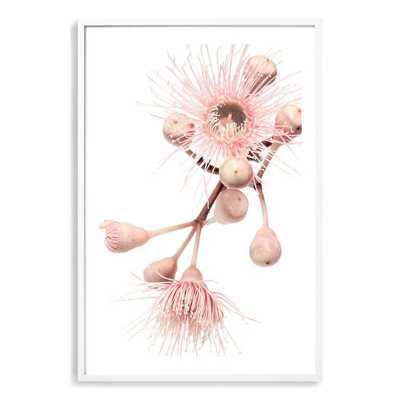 Native Gum Floral II-The Paper Tree-australia,australian,australian native,australiana,floral,flower,flowers,gum leaves,gum tree,hamptons,muted tone,native flowers,peach,pink,pink flower,Portrait,premium art print,protea,wall art,Wall_Art,Wall_Art_Prints,waratah,wild flowers