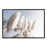 Pampas Skies-The Paper Tree-beach,beige,blue,boho,botanical,coastal,hamptons,landscape,nature,neutral,pampas,pampas grass,premium art print,tall grass,wall art,Wall_Art,Wall_Art_Prints