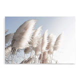 Pampas Skies-The Paper Tree-beach,beige,blue,boho,botanical,coastal,hamptons,landscape,nature,neutral,pampas,pampas grass,premium art print,tall grass,wall art,Wall_Art,Wall_Art_Prints