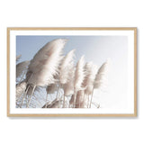 Pampas Skies-The Paper Tree-beach,beige,blue,boho,botanical,coastal,hamptons,landscape,nature,neutral,pampas,pampas grass,premium art print,tall grass,wall art,Wall_Art,Wall_Art_Prints