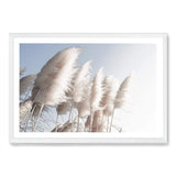 Pampas Skies-The Paper Tree-beach,beige,blue,boho,botanical,coastal,hamptons,landscape,nature,neutral,pampas,pampas grass,premium art print,tall grass,wall art,Wall_Art,Wall_Art_Prints