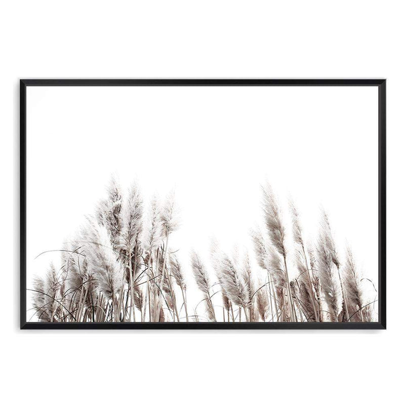 Pampas Grass-The Paper Tree-beach,beige,boho,botanical,coastal,grass,hamptons,landscape,muted tone,nature,neutral,pampas,pampas grass,premium art print,tall grass,wall art,Wall_Art,Wall_Art_Prints,white