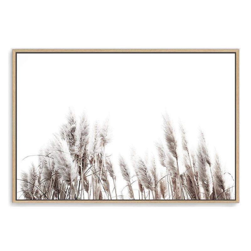 Pampas Grass-The Paper Tree-beach,beige,boho,botanical,coastal,grass,hamptons,landscape,muted tone,nature,neutral,pampas,pampas grass,premium art print,tall grass,wall art,Wall_Art,Wall_Art_Prints,white