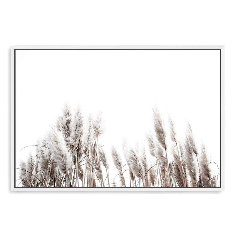 Pampas Grass-The Paper Tree-beach,beige,boho,botanical,coastal,grass,hamptons,landscape,muted tone,nature,neutral,pampas,pampas grass,premium art print,tall grass,wall art,Wall_Art,Wall_Art_Prints,white