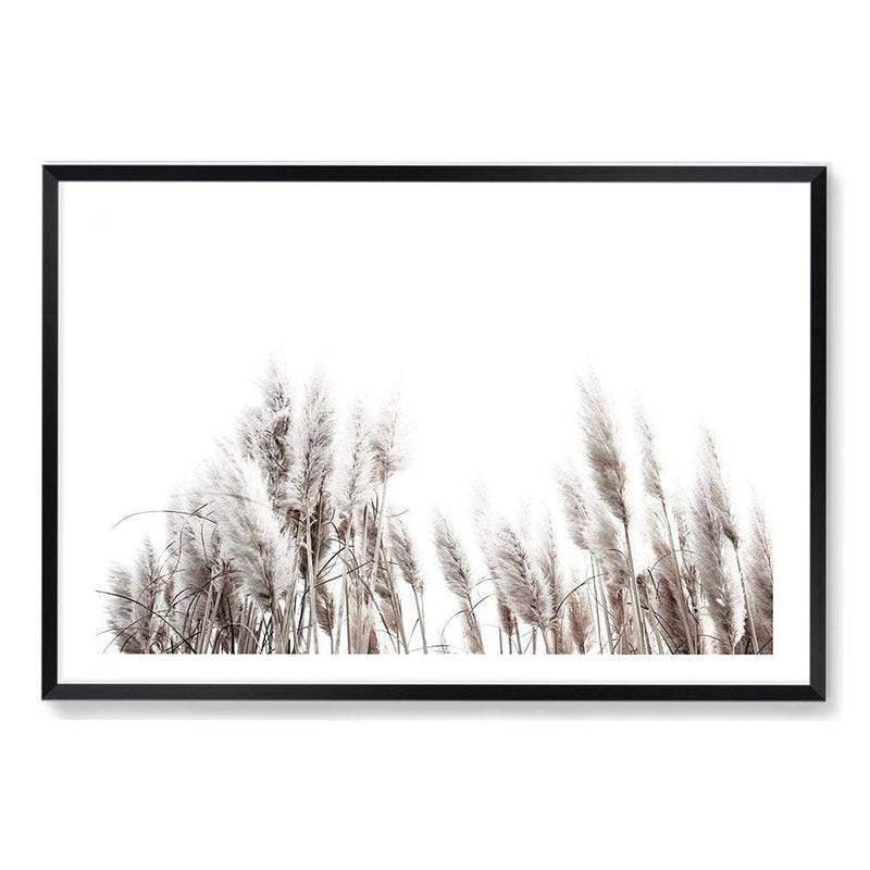 Pampas Grass-The Paper Tree-beach,beige,boho,botanical,coastal,grass,hamptons,landscape,muted tone,nature,neutral,pampas,pampas grass,premium art print,tall grass,wall art,Wall_Art,Wall_Art_Prints,white