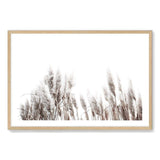 Pampas Grass-The Paper Tree-beach,beige,boho,botanical,coastal,grass,hamptons,landscape,muted tone,nature,neutral,pampas,pampas grass,premium art print,tall grass,wall art,Wall_Art,Wall_Art_Prints,white