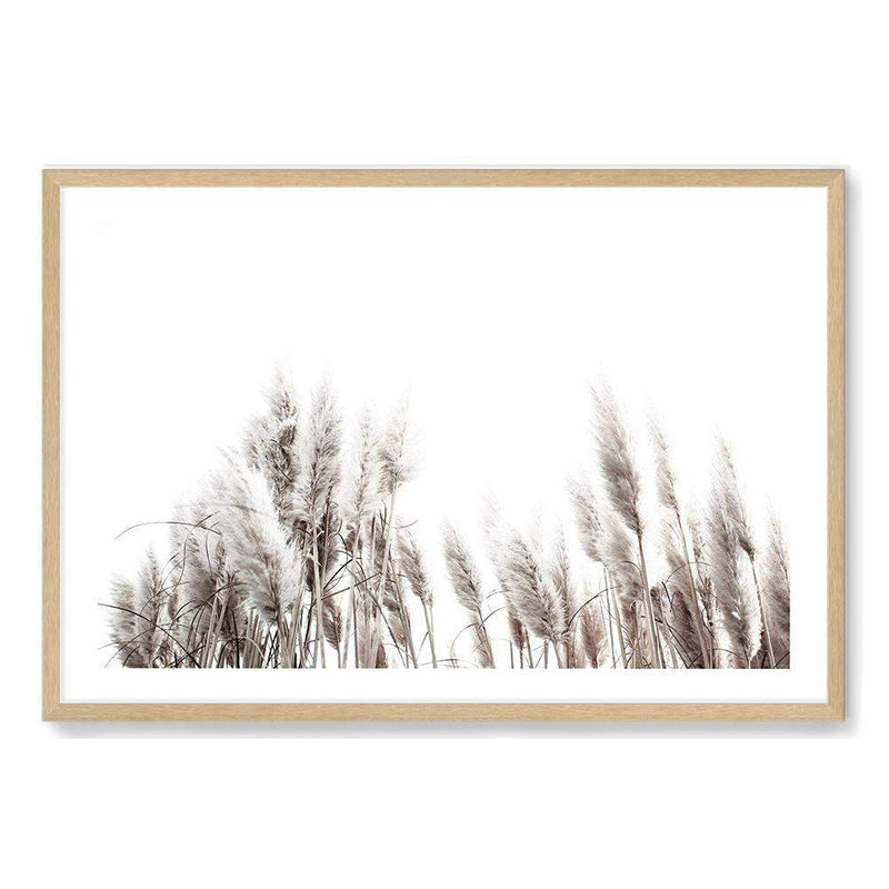 Pampas Grass-The Paper Tree-beach,beige,boho,botanical,coastal,grass,hamptons,landscape,muted tone,nature,neutral,pampas,pampas grass,premium art print,tall grass,wall art,Wall_Art,Wall_Art_Prints,white