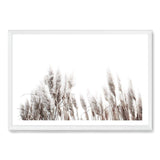 Pampas Grass-The Paper Tree-beach,beige,boho,botanical,coastal,grass,hamptons,landscape,muted tone,nature,neutral,pampas,pampas grass,premium art print,tall grass,wall art,Wall_Art,Wall_Art_Prints,white