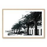 The Embankment-The Paper Tree-architectural,architecture,beatiful building,building,embankment,landscape,montenegro,ocean,palm,palm tree,palms,premium art print,tivat,wall art,Wall_Art,Wall_Art_Prints,water