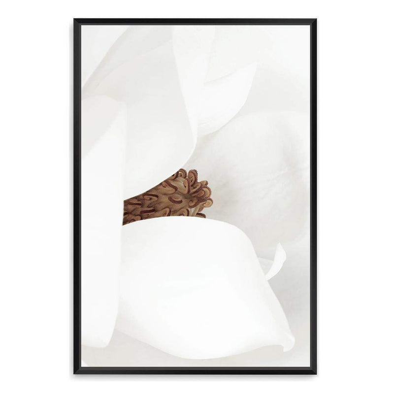 Magnolia-The Paper Tree-boho,floral,flower,hamptons,magnolia,magnolia flower,neutral,petals,portrait,premium art print,wall art,Wall_Art,Wall_Art_Prints,white,white magnolia