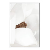 Magnolia-The Paper Tree-boho,floral,flower,hamptons,magnolia,magnolia flower,neutral,petals,portrait,premium art print,wall art,Wall_Art,Wall_Art_Prints,white,white magnolia