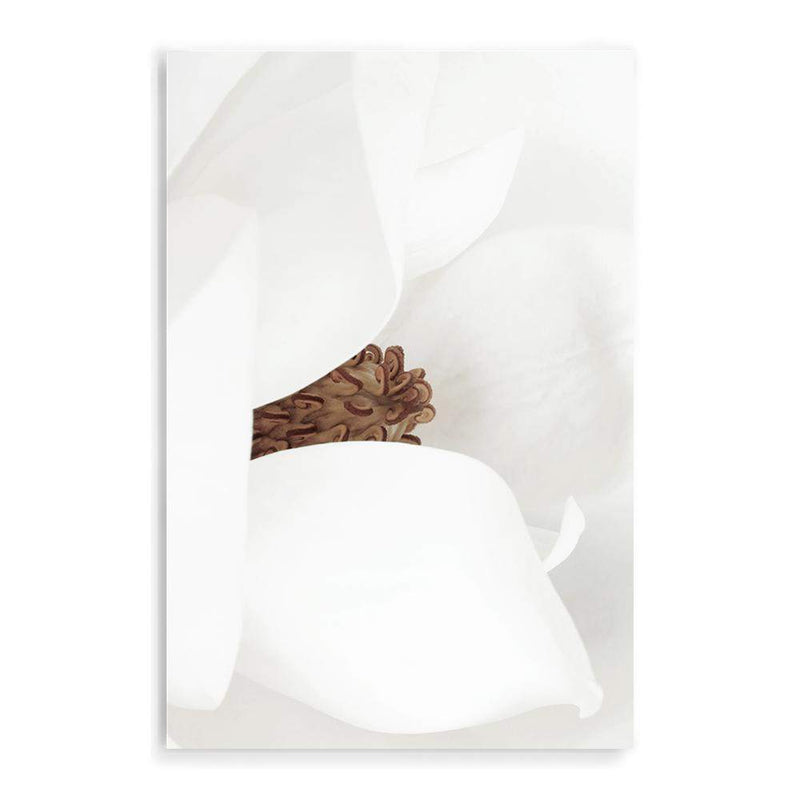 Magnolia-The Paper Tree-boho,floral,flower,hamptons,magnolia,magnolia flower,neutral,petals,portrait,premium art print,wall art,Wall_Art,Wall_Art_Prints,white,white magnolia