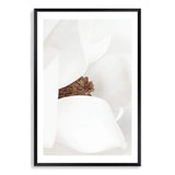 Magnolia-The Paper Tree-boho,floral,flower,hamptons,magnolia,magnolia flower,neutral,petals,portrait,premium art print,wall art,Wall_Art,Wall_Art_Prints,white,white magnolia