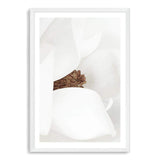 Magnolia-The Paper Tree-boho,floral,flower,hamptons,magnolia,magnolia flower,neutral,petals,portrait,premium art print,wall art,Wall_Art,Wall_Art_Prints,white,white magnolia