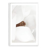 Magnolia-The Paper Tree-boho,floral,flower,hamptons,magnolia,magnolia flower,neutral,petals,portrait,premium art print,wall art,Wall_Art,Wall_Art_Prints,white,white magnolia