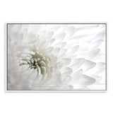 White Dahlia Flower-The Paper Tree-botanical,dahlia,dahlia flower,floral,flower,hamptons,landscape,neutral,petals,premium art print,wall art,Wall_Art,Wall_Art_Prints,white,white dahlia