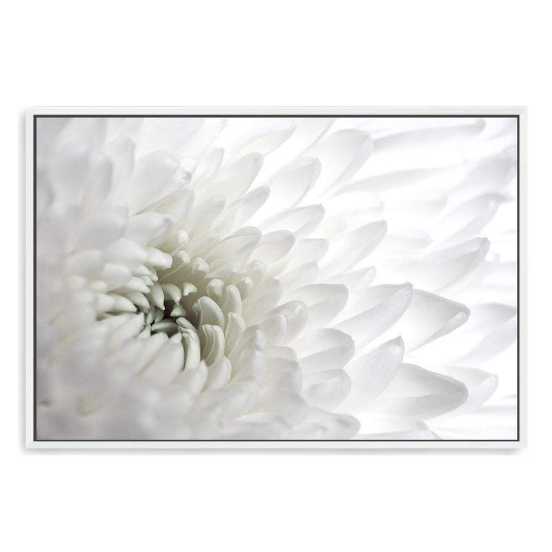 White Dahlia Flower-The Paper Tree-botanical,dahlia,dahlia flower,floral,flower,hamptons,landscape,neutral,petals,premium art print,wall art,Wall_Art,Wall_Art_Prints,white,white dahlia