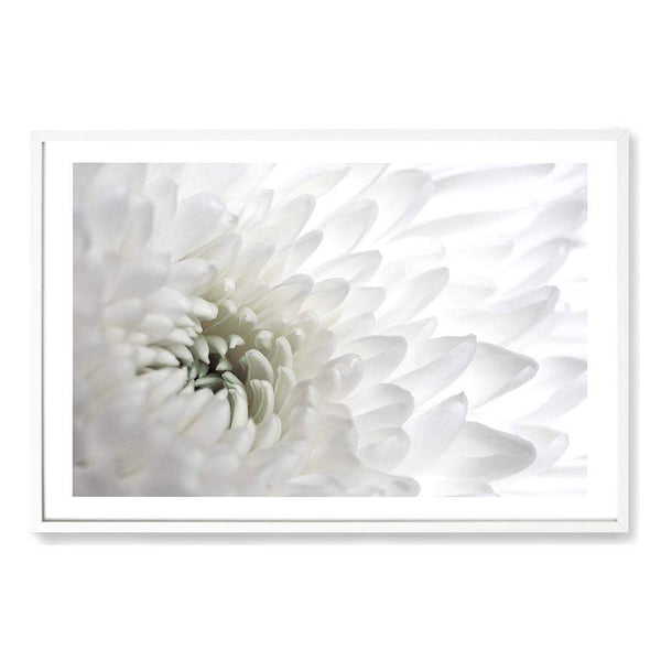 White Dahlia Flower-The Paper Tree-botanical,dahlia,dahlia flower,floral,flower,hamptons,landscape,neutral,petals,premium art print,wall art,Wall_Art,Wall_Art_Prints,white,white dahlia