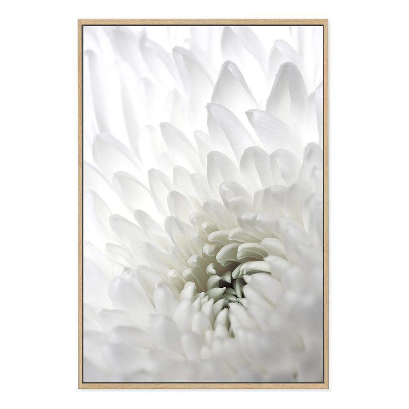 White Dahlia Flower II-The Paper Tree-botanical,dahlia,dahlia flower,floral,flower,hamptons,neutral,petals,portrait,premium art print,wall art,Wall_Art,Wall_Art_Prints,white,white dahlia