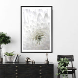 White Dahlia Flower II-The Paper Tree-botanical,dahlia,dahlia flower,floral,flower,hamptons,neutral,petals,portrait,premium art print,wall art,Wall_Art,Wall_Art_Prints,white,white dahlia