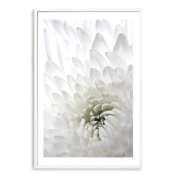 White Dahlia Flower II-The Paper Tree-botanical,dahlia,dahlia flower,floral,flower,hamptons,neutral,petals,portrait,premium art print,wall art,Wall_Art,Wall_Art_Prints,white,white dahlia