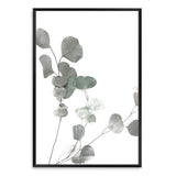 Australian Native Eucalyptus Leaves-The Paper Tree-australia,australian,australian native,australiana,botanical,eucalyptus,eucalyptus leaves,green,gum,gum leaf,hamptons,leaf,leaves,muted tone,native,portrait,premium art print,wall art,Wall_Art,Wall_Art_Prints