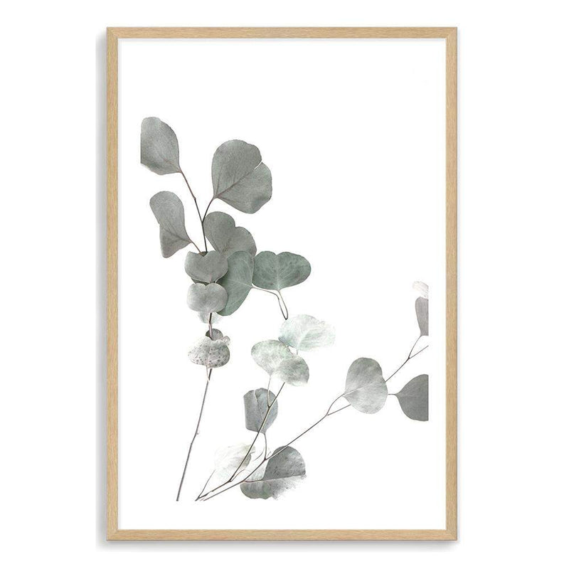 Australian Native Eucalyptus Leaves-The Paper Tree-australia,australian,australian native,australiana,botanical,eucalyptus,eucalyptus leaves,green,gum,gum leaf,hamptons,leaf,leaves,muted tone,native,portrait,premium art print,wall art,Wall_Art,Wall_Art_Prints