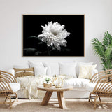 Chysanthemum Flower-The Paper Tree-black,black & white,black and white,chrysanthemum,floral,flower,landscape,monochrome,petals,premium art print,wall art,Wall_Art,Wall_Art_Prints,white,white flower