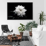 Chysanthemum Flower-The Paper Tree-black,black & white,black and white,chrysanthemum,floral,flower,landscape,monochrome,petals,premium art print,wall art,Wall_Art,Wall_Art_Prints,white,white flower