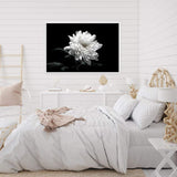 Chysanthemum Flower-The Paper Tree-black,black & white,black and white,chrysanthemum,floral,flower,landscape,monochrome,petals,premium art print,wall art,Wall_Art,Wall_Art_Prints,white,white flower